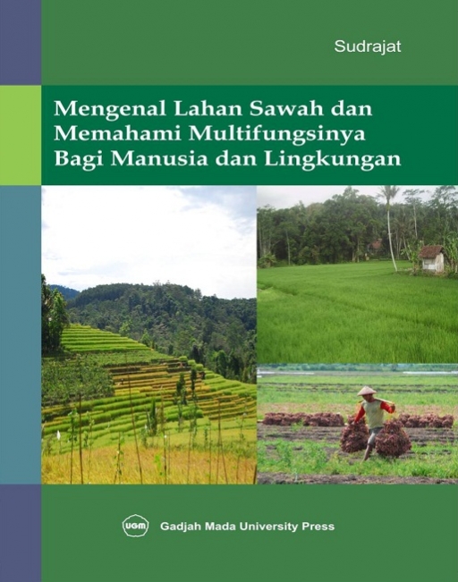 Gambar Mengenal Lahan Sawah dan Memahami Multifungsinya Bagi Manusia dan Lingkungan