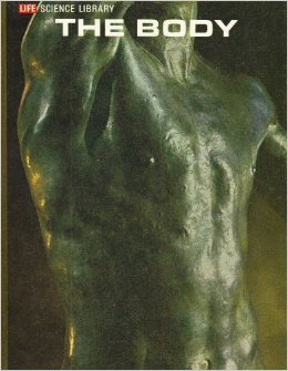 Gambar The Body