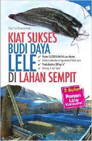 Gambar Kiat Sukses budidaya Lele di Lahan Sempit